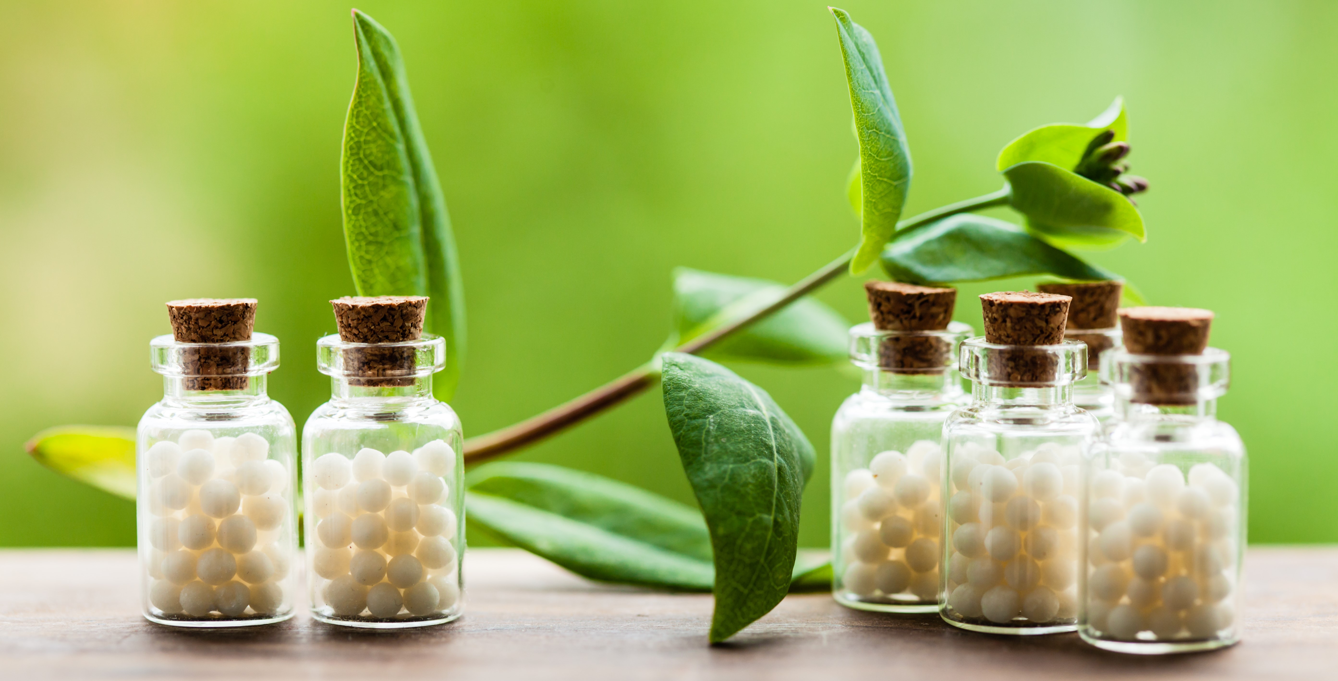 Homeopathic remedies for Alzheimer